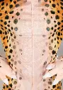 child-cheerful-cheetah-costume-alt-2.webp
