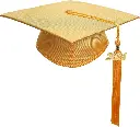 shiny-satin-yellow-2.webp