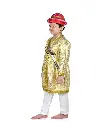 tipu-sultan-costume-4.webp