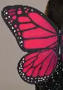 girls-black-butterfly-costume-alt-2.webp