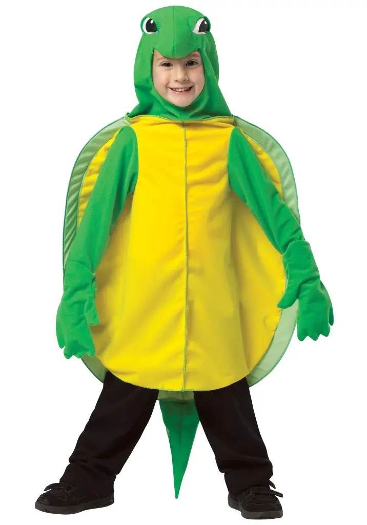 turtle-costume.webp