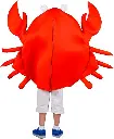 sale-crab-costume-3.webp