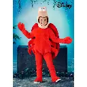 sale-kids-crab-costume-4.webp