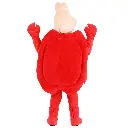 sale-kids-crab-costume-2.webp