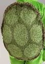 toddler-perky-turtle-costume-alt-5.webp