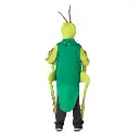 kids-grasshopper-costume~2.webp