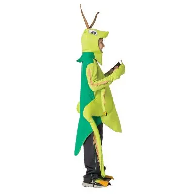 kids-grasshopper-costume~3.webp