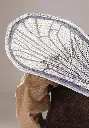 kids-mosquito-costume-alt-3.webp