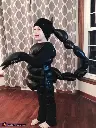 black-scorpion-1.webp