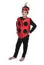 rental-lady-bug-costume-2.webp