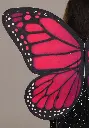 girls-black-butterfly-costume-alt-2.webp