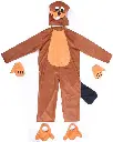 sea-otter-5.webp