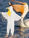 spoonbill-costume-1.webp