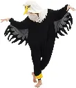 seagul-3.webp