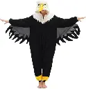 seagul-2.webp