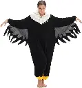 seagull-2.webp