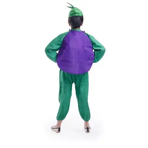 Brinjal 2.webp