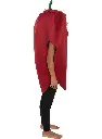 red-pepper-costume-for-kids (2).webp
