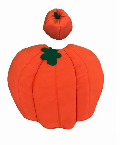 pumkin-costume-2.webp