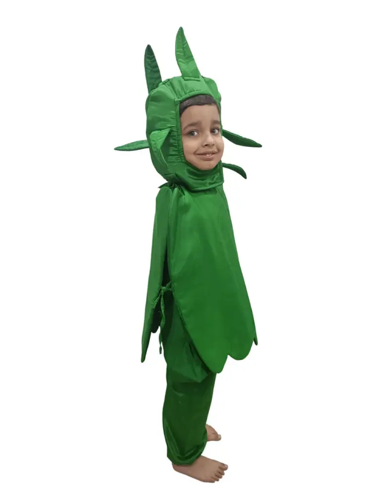 capsicum new 2.webp