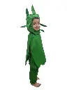 capsicum new 2.webp