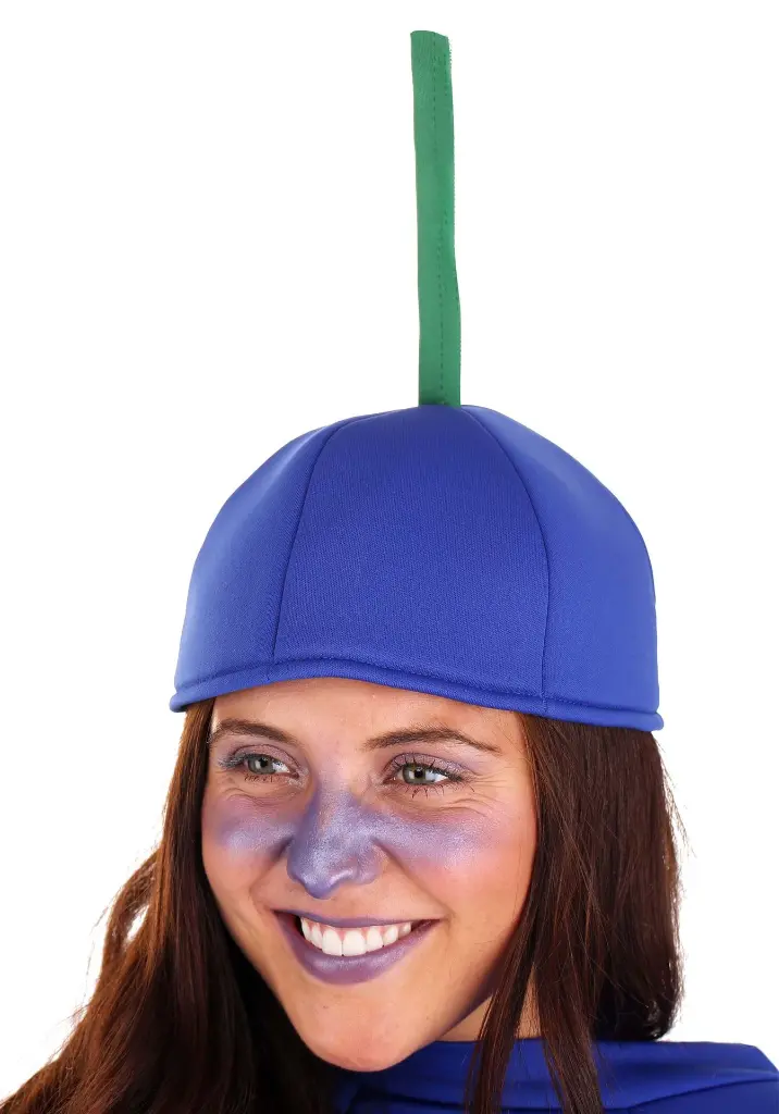 adult-blueberry-costume-alt-1.webp