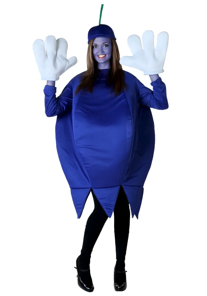 adult-blueberry-costume.webp