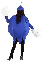 adult-blueberry-costume-alt-3.webp