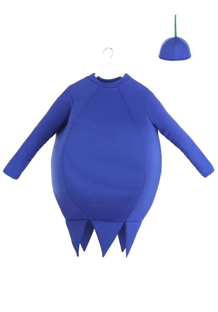 adult-blueberry-costume-alt-4.webp