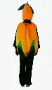 WhatsApp Image 2025-05-10 at 10.43.11 AM.webp