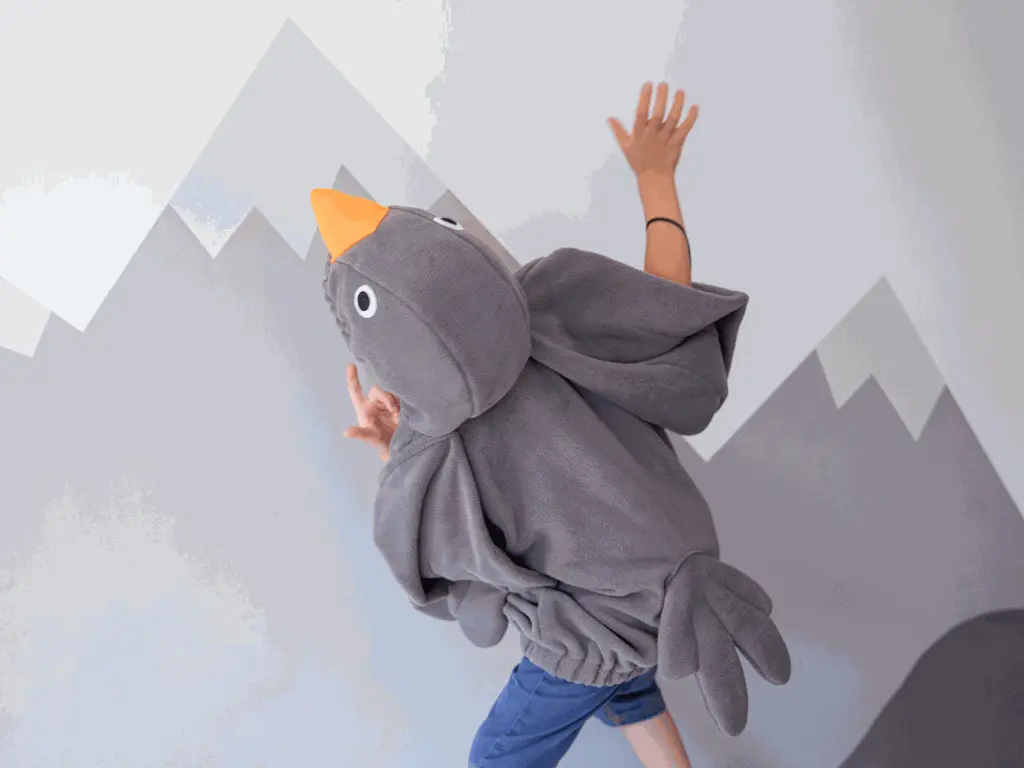robin.webp