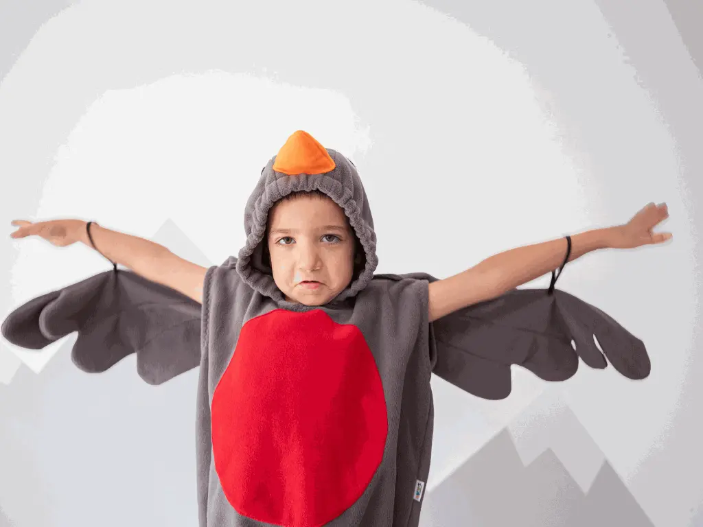 robin 4.webp