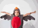 robin 4.webp