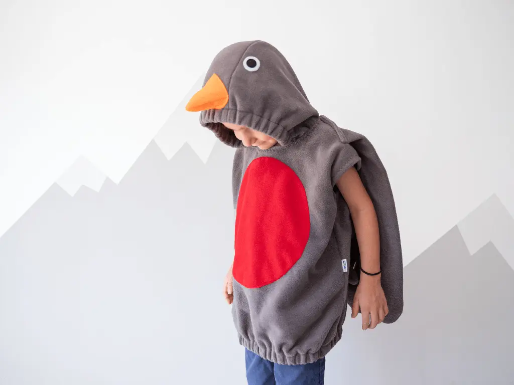 robin 2.webp