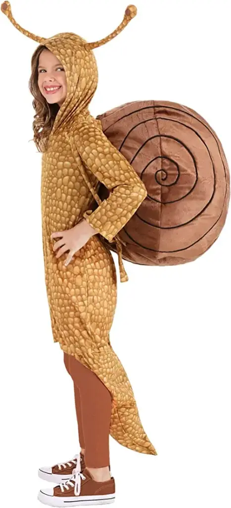 WhatsApp Image 2025-05-26 at 11.15.19 AM (1).webp