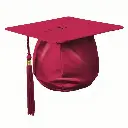 pink-shiny-graduation-gown-cap-with-golden-border-1000x1000_(1).webp_1748837280466.webp