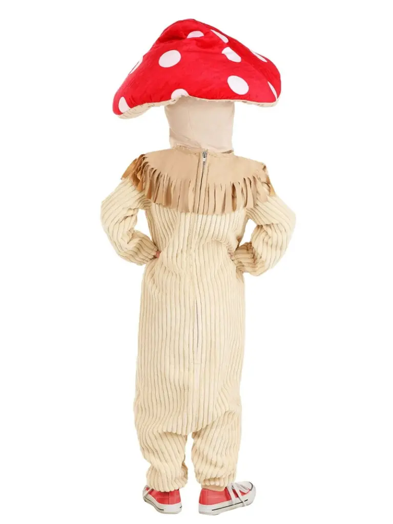 WhatsApp Image 2025-06-03 at 1.50.52 PM (1).webp