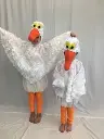 pelican-2.webp