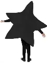 GOLDEN-STAR-3.webp