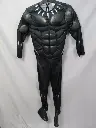 rental-black-panther-1.webp