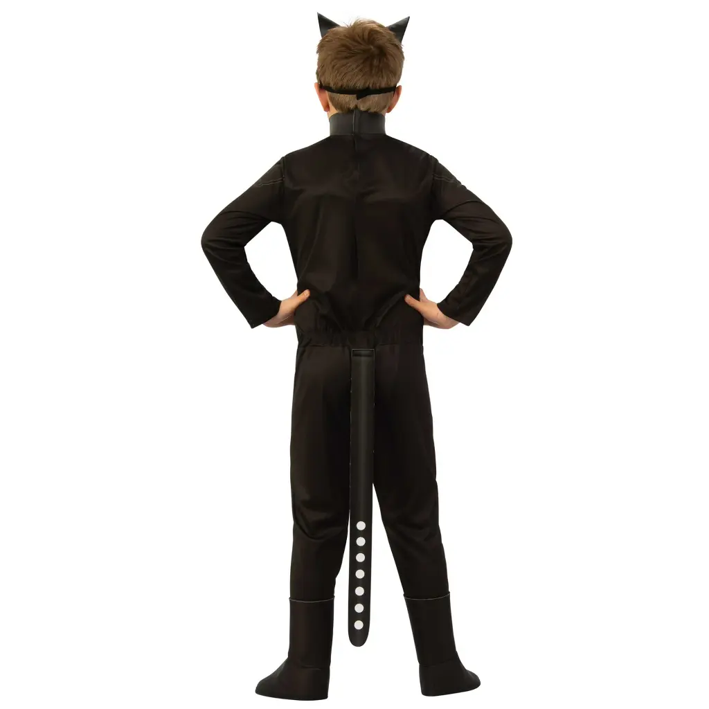 rental-catwoman-2.webp