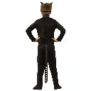 rental-catwoman-2.webp