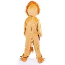 rental-lion -kids-costume-3.webp