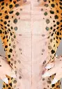 rental-cheetah-costume-4.webp
