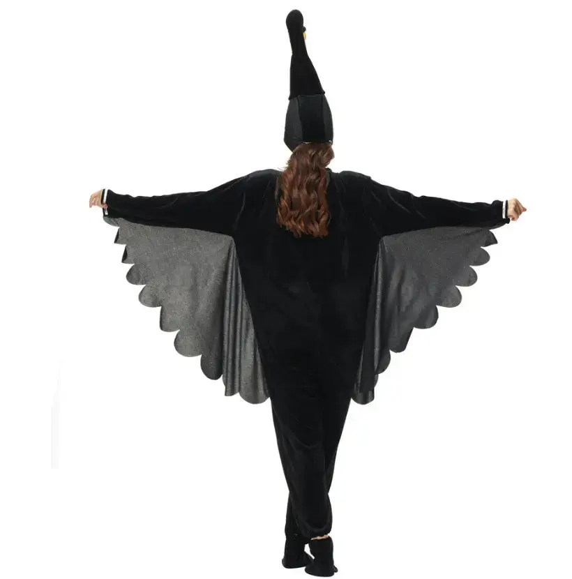 rental-blacl-swan21.webp