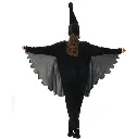 rental-blacl-swan21.webp