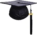 shiny-black-yellow-2.webp