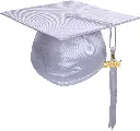 shiny-satin-white-2.webp