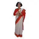 Indira Gandhi Costume Rental – Patriotic Fancy Dress