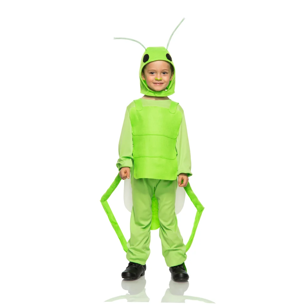 Grasshopper Costume Rental – Insect-Inspired Fancy Dress